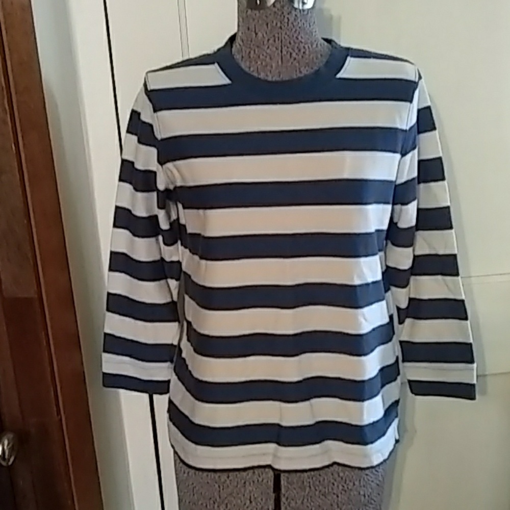 Land's End shirt
